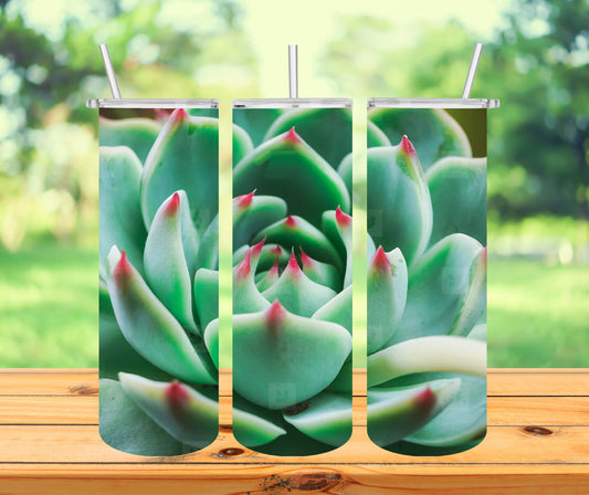 Succulent Tumbler with Lid and Straw, Insulated Skinny Tumbler, 20 oz Water Cup